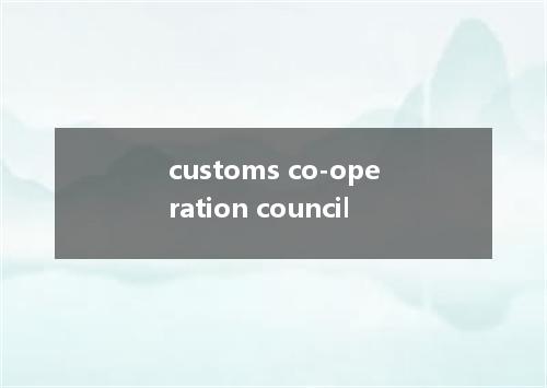 customs co-operation council是什么意思