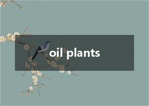 oil plants是什么意思
