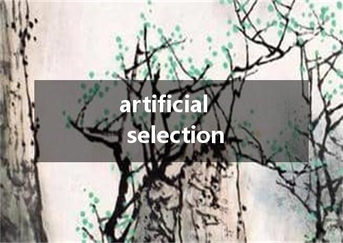 artificial selection是什么意思