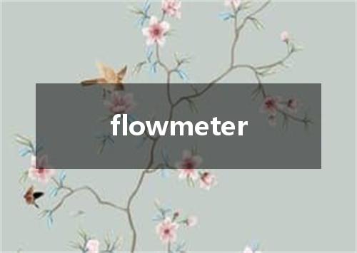 flowmeter是什么意思