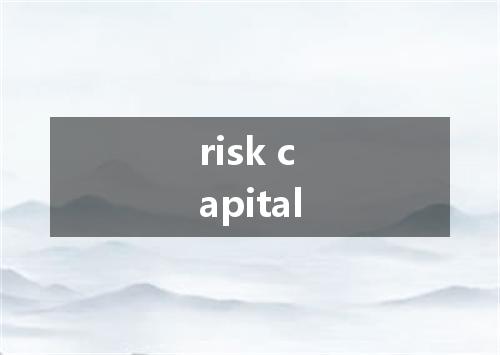risk capital是什么意思