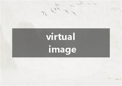 virtual image是什么意思