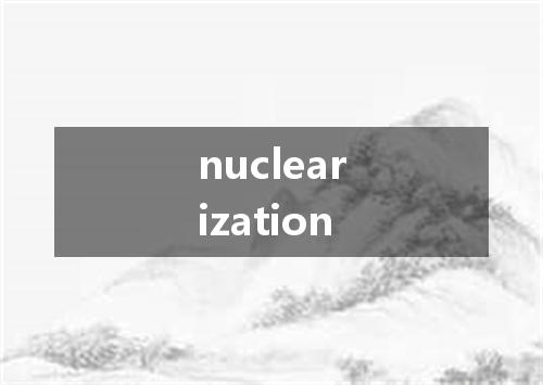 nuclearization是什么意思