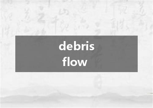 debris flow是什么意思