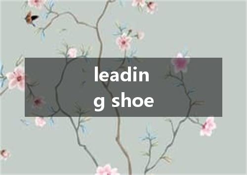 leading shoe是什么意思