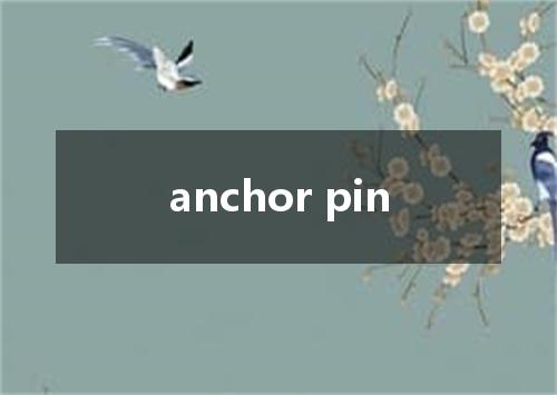 anchor pin是什么意思