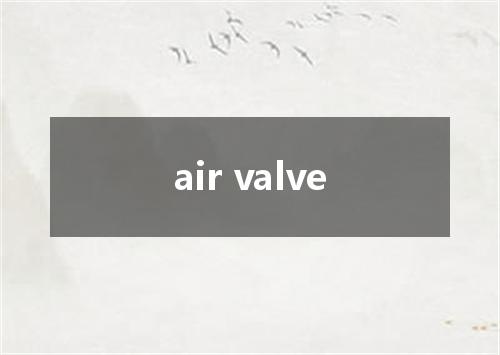 air valve是什么意思