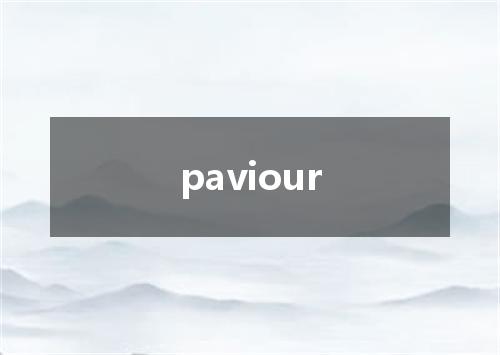 paviour是什么意思