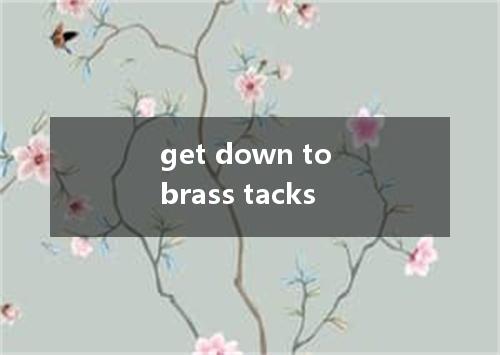 get down to brass tacks是什么意思