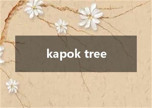 kapok tree是什么意思