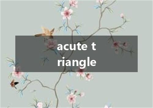 acute triangle是什么意思