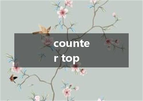 counter top是什么意思