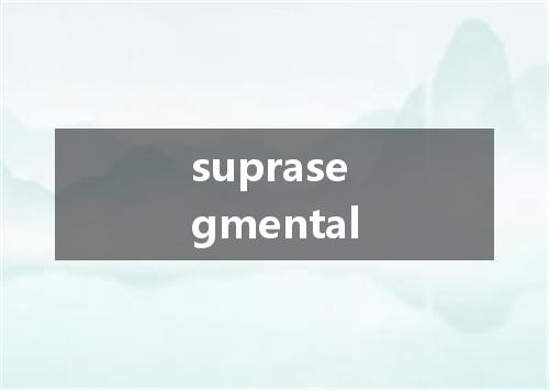 suprasegmental是什么意思