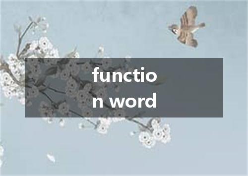 function word是什么意思