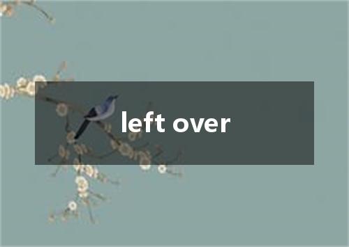 left over是什么意思