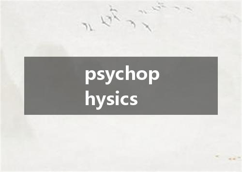 psychophysics是什么意思