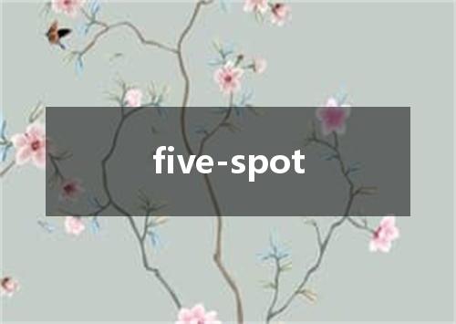 five-spot是什么意思