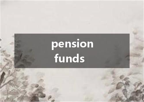 pension funds是什么意思