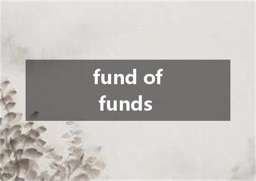 fund of funds是什么意思
