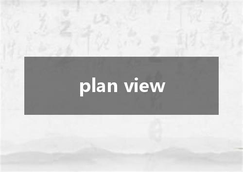 plan view是什么意思