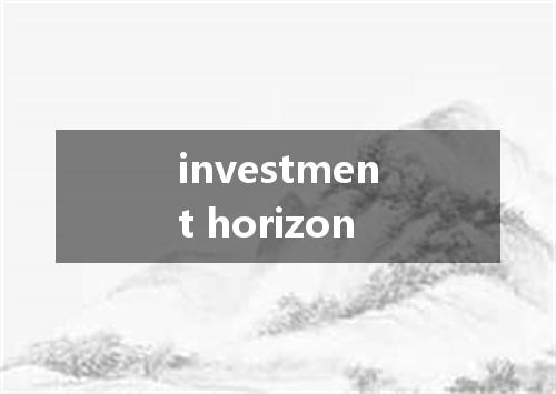 investment horizon是什么意思