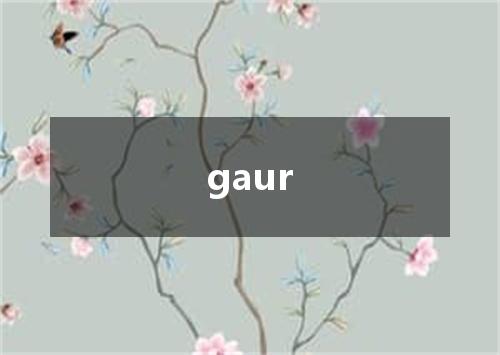 gaur是什么意思