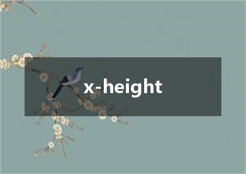 x-height是什么意思