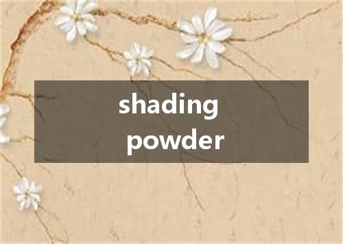 shading powder是什么意思