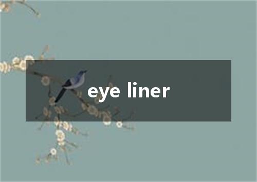 eye liner是什么意思