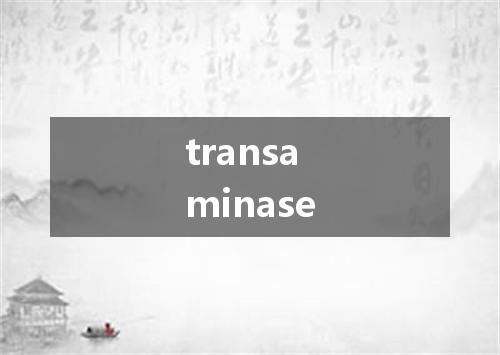 transaminase是什么意思