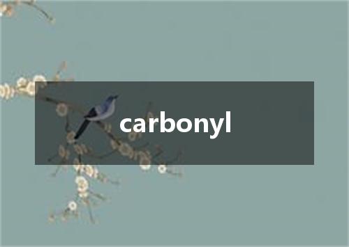 carbonyl是什么意思