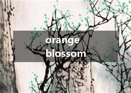 orange blossom是什么意思