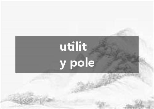 utility pole是什么意思