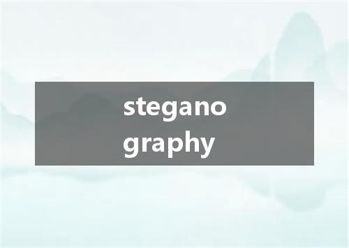 steganography是什么意思