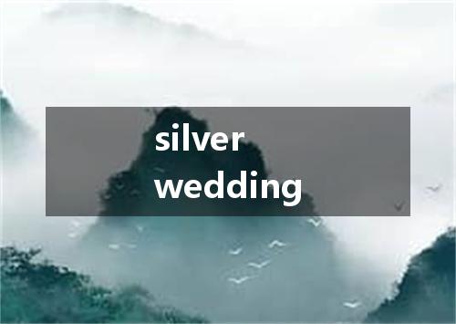 silver wedding是什么意思