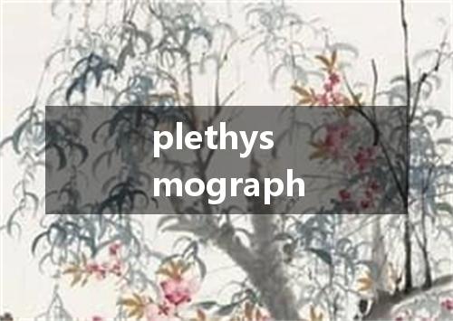 plethysmograph是什么意思