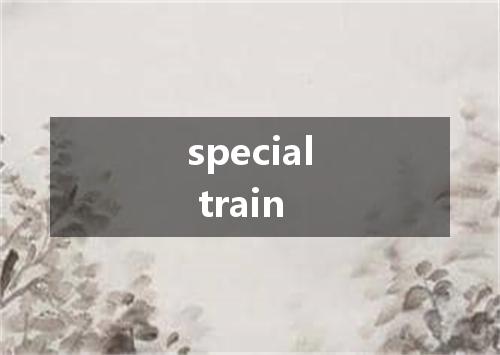 special train是什么意思