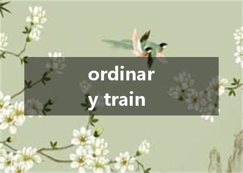 ordinary train是什么意思