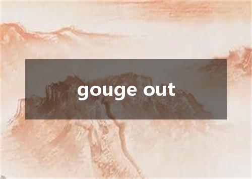 gouge out是什么意思