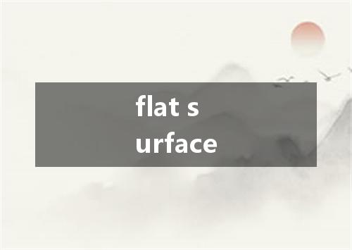 flat surface是什么意思