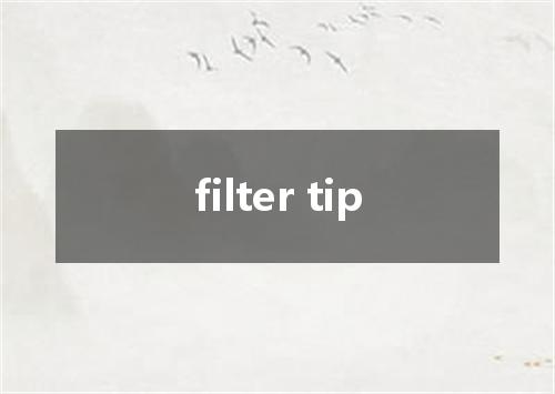 filter tip是什么意思