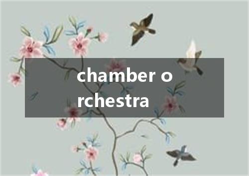chamber orchestra是什么意思