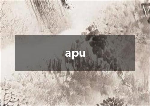 apu是什么意思