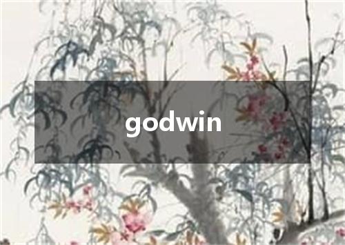 godwin是什么意思
