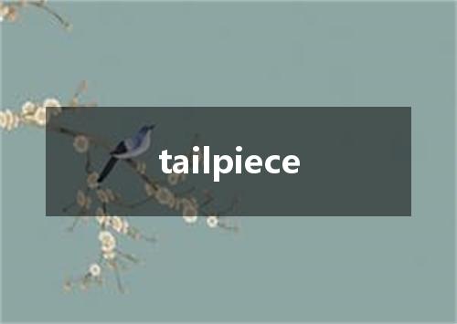 tailpiece是什么意思