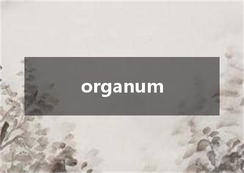 organum是什么意思