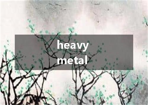 heavy metal是什么意思