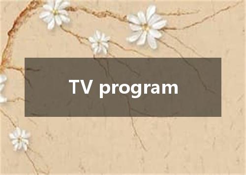 TV program是什么意思