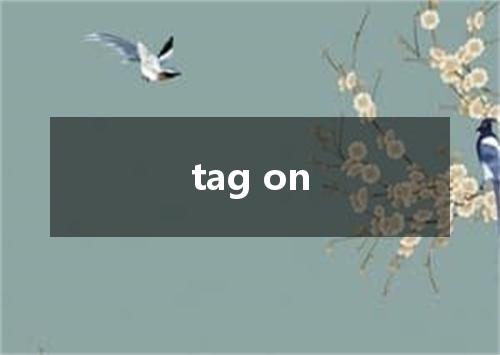 tag on是什么意思