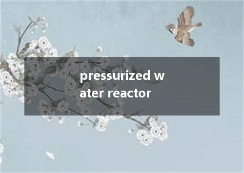 pressurized water reactor是什么意思